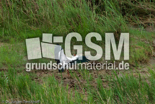 Nimmersatt (19 von 22).jpg